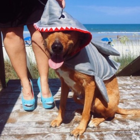 Meet your Posher, Dani - Picture 1 of 1